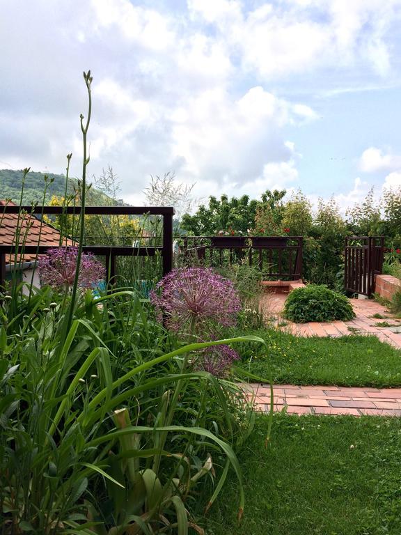 Pension Crhan Mikulov Bagian luar foto