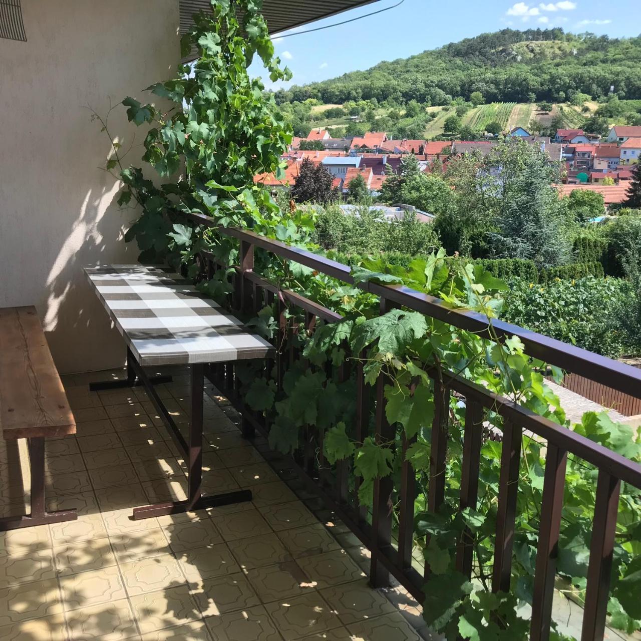 Pension Crhan Mikulov Bagian luar foto